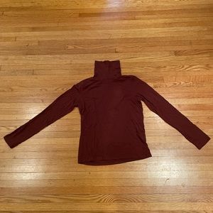 Everlane Brown Turtleneck